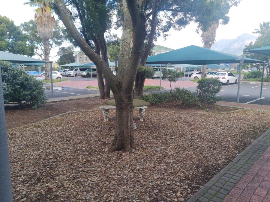 To Let commercial Property for Rent in Pinelands Western Cape